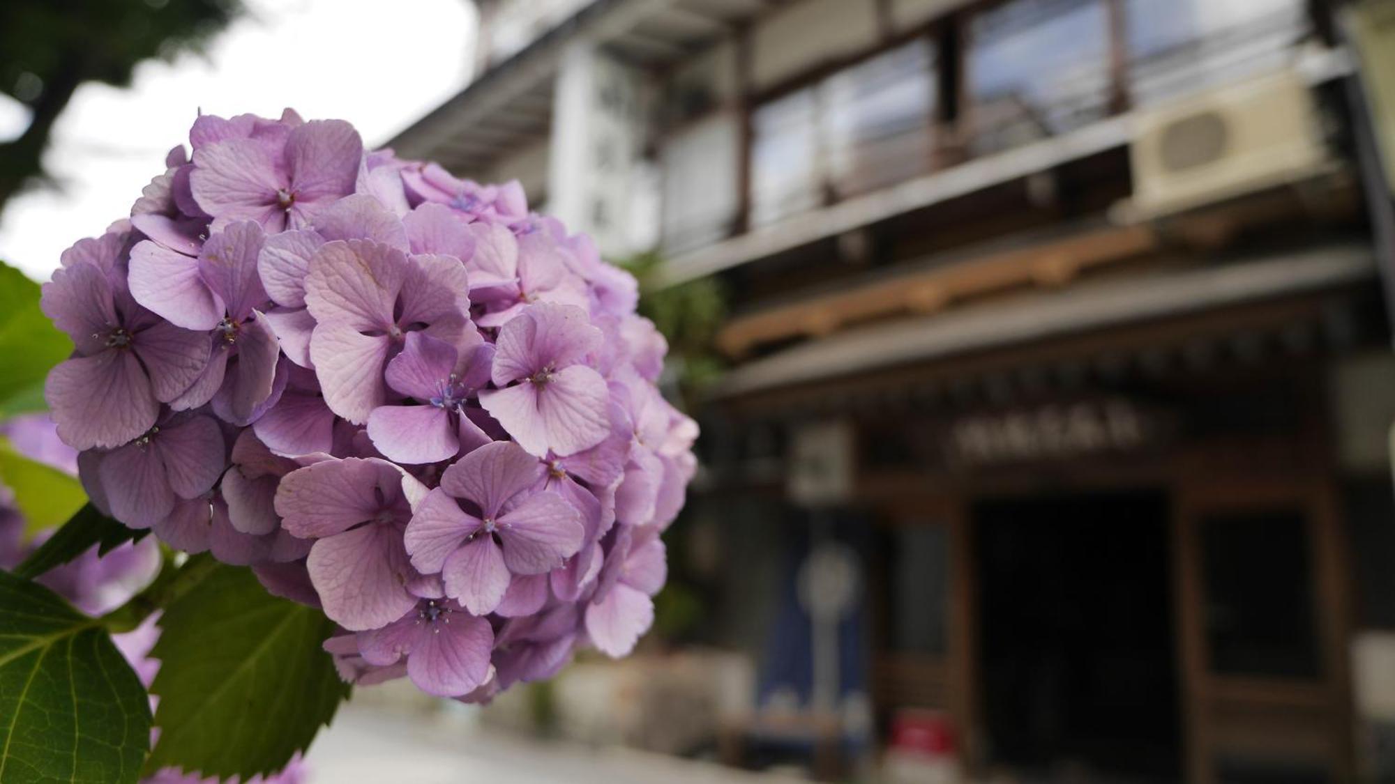 Shibu Onsen Koishiya Ryokan Yamanouchi  Luaran gambar